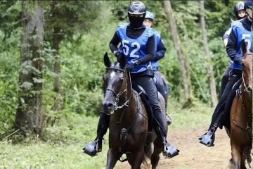 Спортсменка из Херсонской области выполнила норматив мастера спорта по конному спорту
