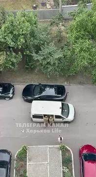 � �������� ���������� ��� ������ ������� ����� ����, ��� �� ��������� ���������� ���������