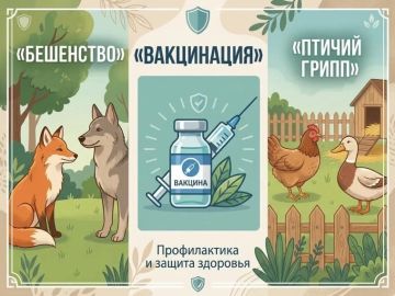 Бешенство: опасность и меры предосторожности