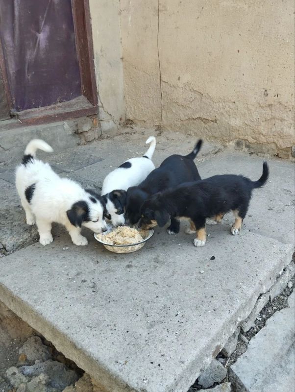 В ожидании своего человека В ожидании своего человека
