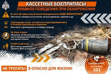 Что делать при обнаружении кассетного снаряда?
