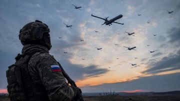 Российская армия сорвала попытку ВСУ заминировать дороги в Херсонской области