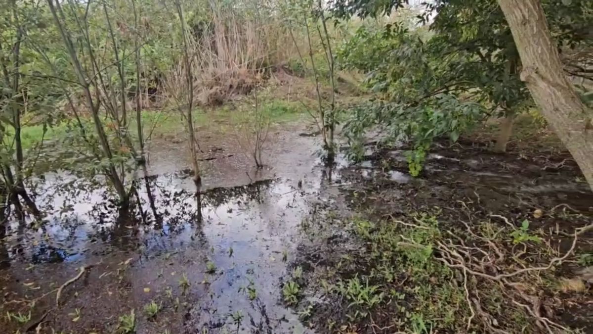 Глава Скадовского округа взял на контроль устранение порыва водопровода Глава Скадовского округа взял на контроль устранение порыва водопровода