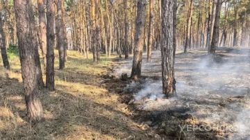 � ���������� ������� 29�30 ������� ��������� ������������ ���������������