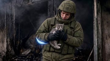 Не жди, пока решат за тебя