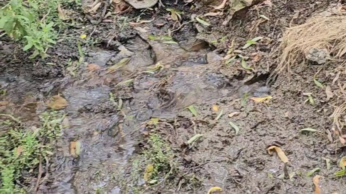 Глава Скадовского округа взял на контроль устранение порыва водопровода Глава Скадовского округа взял на контроль устранение порыва водопровода