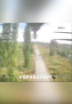 ������� �����������. ������� ������������ �� ������ ����� ���������� �������, ���������� �� ��������