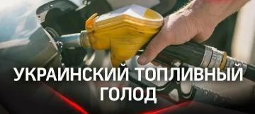 ���� �� ��� �������� ����������� �������: ������ �-95 � 78,77 ������ �� ����, ��������� ������� � 92,31 ������ �� ����