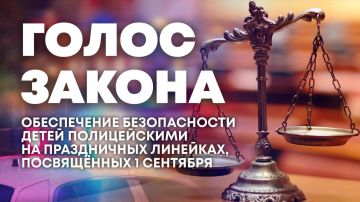 Об обеспечении безопасности учащихся образовательных учреждений — в программе "Голос закона"