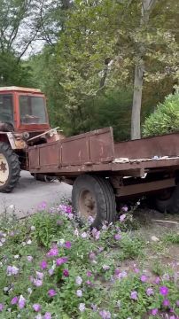 � ������ ������������ ���������� ������ ������ �������� ����������� ������� ��������