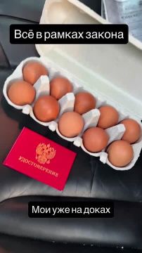 Россияне везут кур в МФЦ из-за новой системы учета — с 1 сентября владельцы хозяйств с более чем 10 птицами (куры, утки, гуси, индейки) обязаны зарегистрировать их в системе «Хорриот»