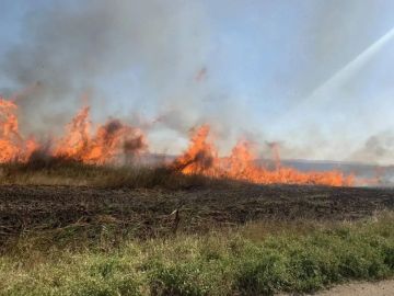 Сотрудники Новотроицкого лесхоза локализовали возгорание площадью 175 гектаров и не допустили перехода огня на лесные массивы