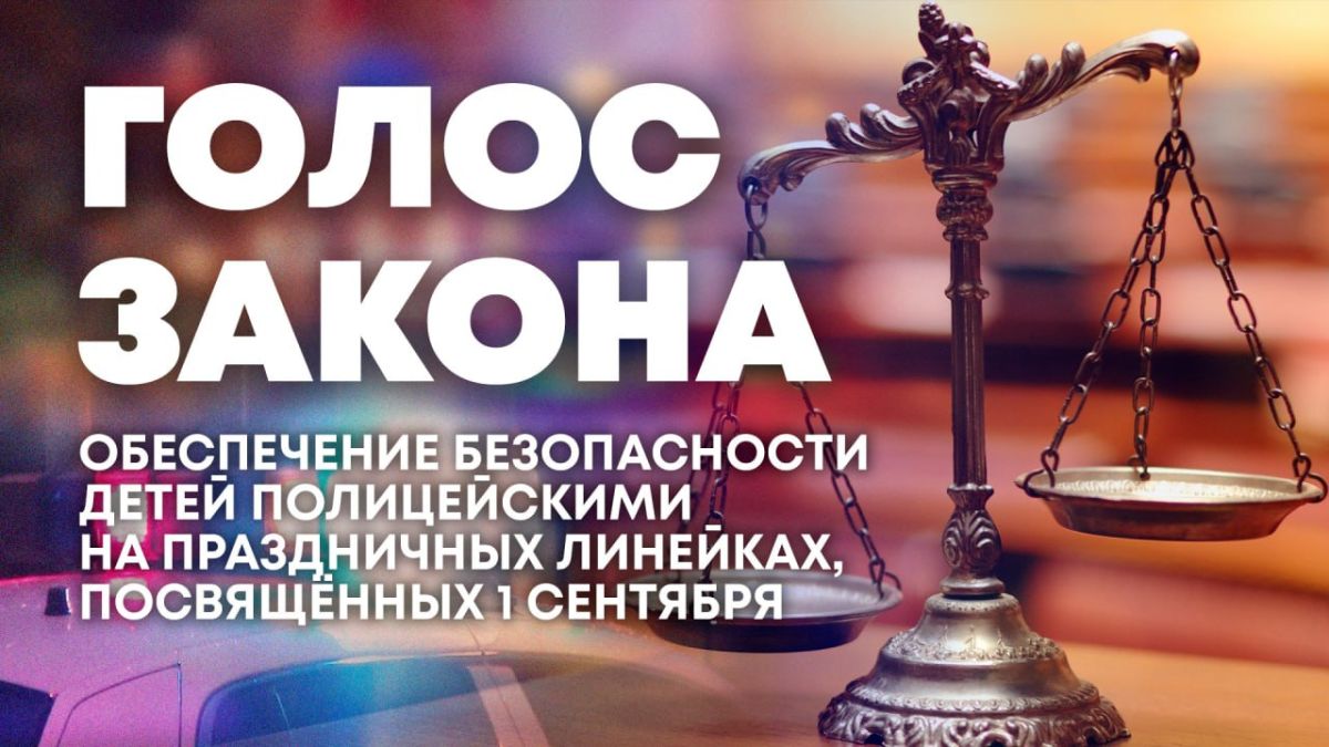 Об обеспечении безопасности учащихся образовательных учреждений — в программе "Голос закона"