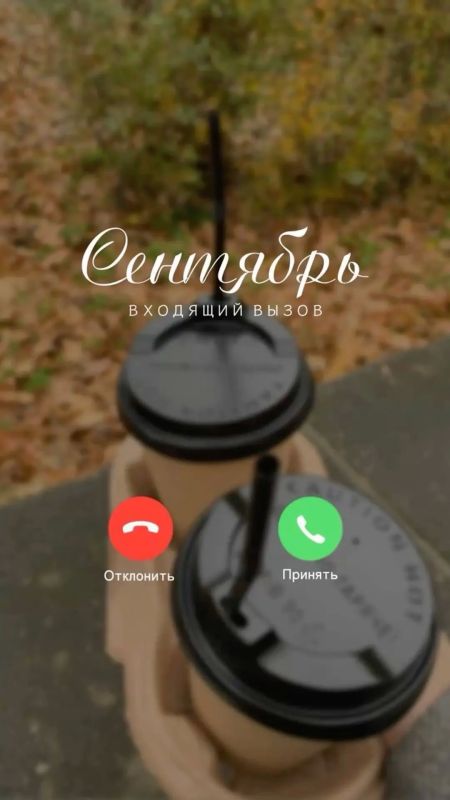 Новый учебный год — погнали!