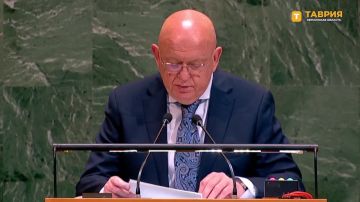 В Новороссии и Донбассе идут масштабные преобразования, заявил Василий Небензя