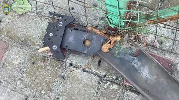 � �� ��� ������.... ������������ ����������: ����� �������� �� ���� �� ��������� � ������������ ����������� ����� �������