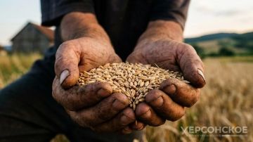В Херсонской области завершают уборочную кампанию