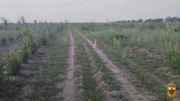 � ������������� ������ ����������� ������������� �������������� ��� � ������������