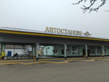 В Херсонской области заработал чат-бот с расписанием автобусов