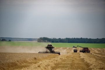 Губернатор Сальдо: Аграрии Херсонской области намолотили 1,6 млн тонн зерна