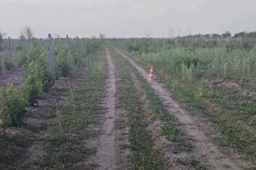 В Новокаховском округе в результате опрокидывания скутера пострадал мужчина
