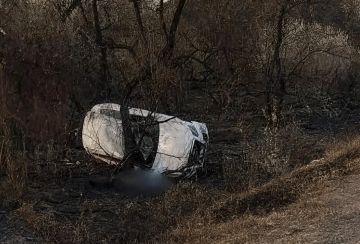 В Скадовском округе автоледи на Audi вылетела с трассы и разбилась насмерть