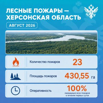 Владимир Сальдо: Обстрелы ВСУ стали причиной большинства лесных пожаров в августе