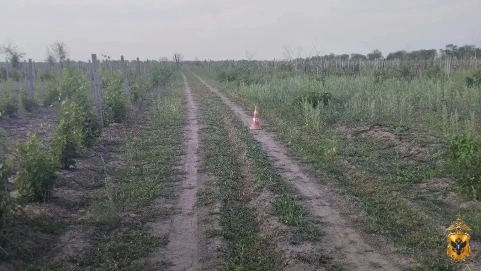 В Новокаховском округе полицейские устанавливают обстоятельства ДТП с пострадавшим