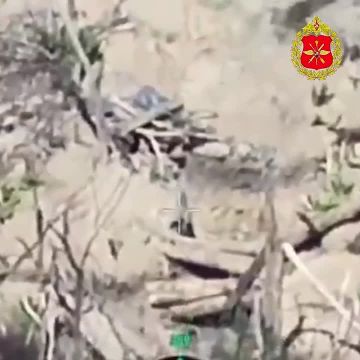 Вколотили в землю. Дроноводы ударных БПЛА ВС РФ уничтожили опорные пункты, укреплённые укрытия и находившуюся на позициях живую силу противника в Запорожской области телеграм-канал Херсонский Вестник