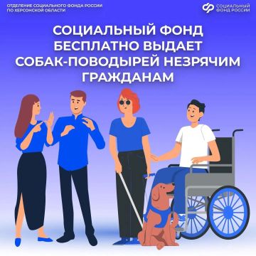 Умный пес и надежный спутник: как оформить заявку на собаку-проводника
