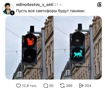 Светофоры с котятами появились в России
