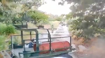 ��� ���� �� ����: ������ ��������� ���������������� ������� ��� �� ������������
