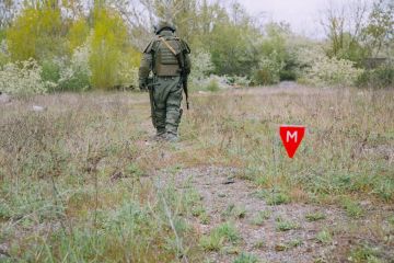 Саперы обезвредили 15 боеприпасов ВСУ в Херсонской области