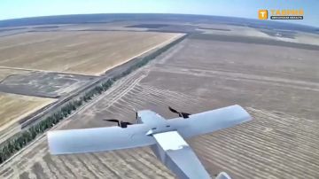 Бойцы 49-й армии группировки войск "Днепр" за месяц уничтожили сотни вражеских БпЛА в небе над Херсонской областью