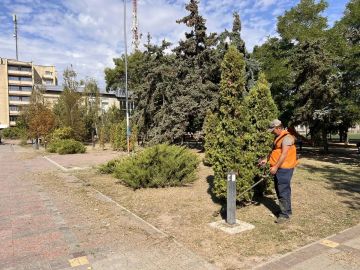 В Скадовске обновили флаги и привели в порядок территорию администрации