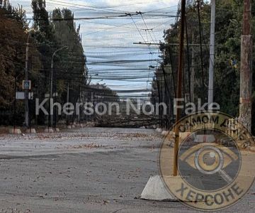 Дерево упало у автовокзала в Северном районе Херсона