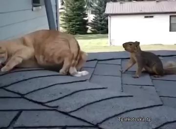 �����?!! �������, � ���������� � �����������