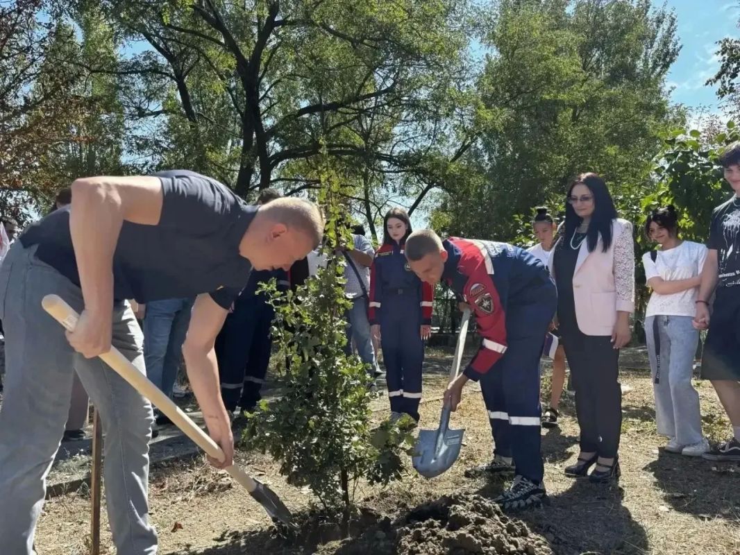 Владимир Сальдо: Будущее Херсонщины начинается с хорошего учителя Херсонский государственный педагогический университет встретил новый учебный год концертами в Скадовске и Ялте. Вместе собрались студенты и преподаватели... Владимир Сальдо: Будущее Херсонщины начинается с хорошего учителя Херсонский государственный педагогический университет встретил новый учебный год концертами в Скадовске и Ялте. Вместе собрались студенты и преподаватели...