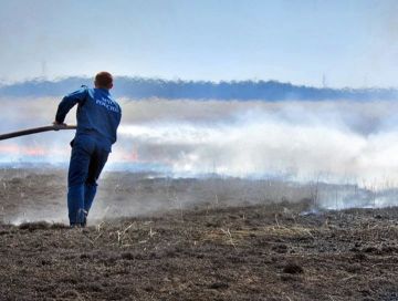 В Херсонской области объявлена чрезвычайная пожароопасность 5 класса