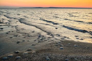 �������� ���� ���� �������: ������ ������������� ������������ �������� ���������