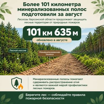 Более 101 километра минерализованных полос подготовили в лесхозах региона за август