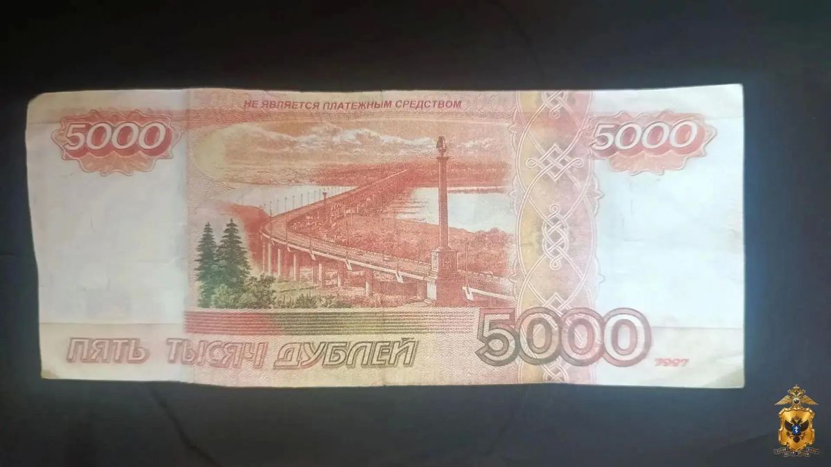 Возбуждено уголовное дело в отношении жителя Алешкинского округа, расплатившегося сувенирной купюрой