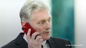 Кремль не исключает разговора Путина и Трампа по итогам поездки переговорщиков США в Москву и в Киев, сообщил Песков