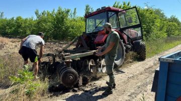 В Херсонской области обновили более 100 км противопожарных полос для защиты лесов