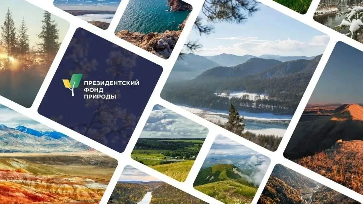 Павел Филипчук: Открыт приём заявок на грантовый конкурс Президентского фонда природы