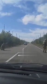 ������ �������� fpv-����� �� ���������� ���������� �������� �� ������ ���� � ��������