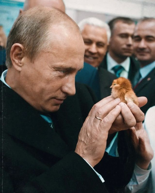 Вы знали, что наш президент – не просто политик мирового масштаба, но и человек, искренне любящий животных? Вы знали, что наш президент – не просто политик мирового масштаба, но и человек, искренне любящий животных?