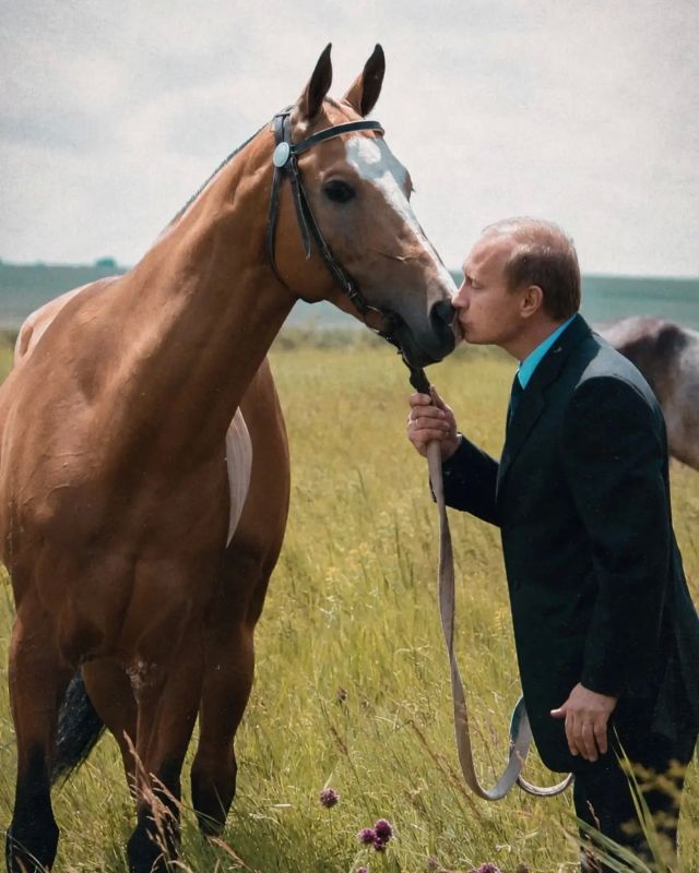 Вы знали, что наш президент – не просто политик мирового масштаба, но и человек, искренне любящий животных? Вы знали, что наш президент – не просто политик мирового масштаба, но и человек, искренне любящий животных?