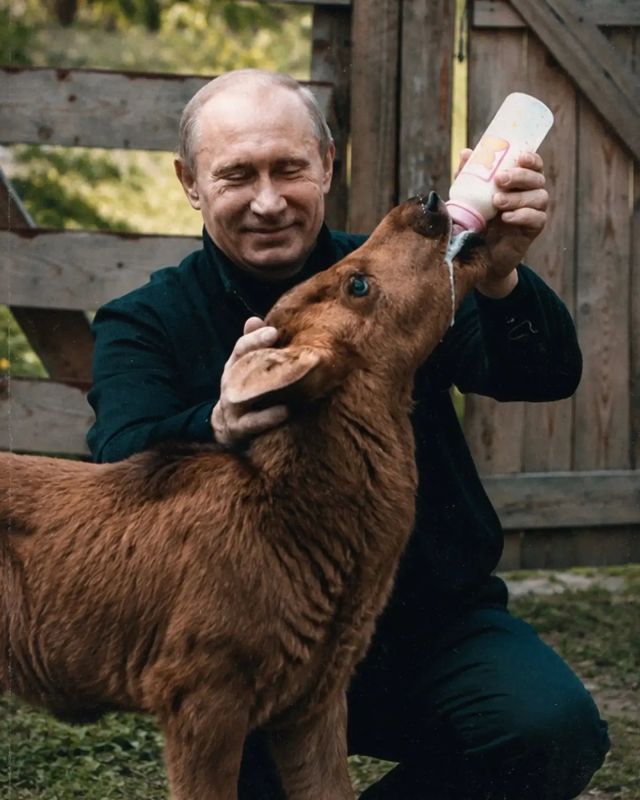 Вы знали, что наш президент – не просто политик мирового масштаба, но и человек, искренне любящий животных?