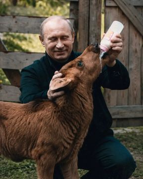 Вы знали, что наш президент – не просто политик мирового масштаба, но и человек, искренне любящий животных?